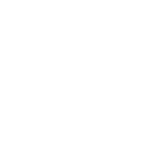 Seizures & Neurological Issues